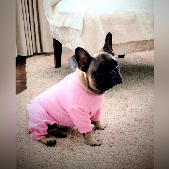 2/$10 Top Paw Size S Pink Thermal Dog Pajamas - Picture 5 of 6